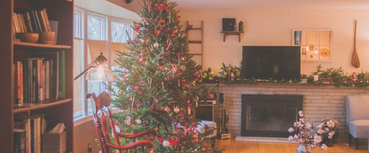 The Magic of a Christmas Tree with Lights