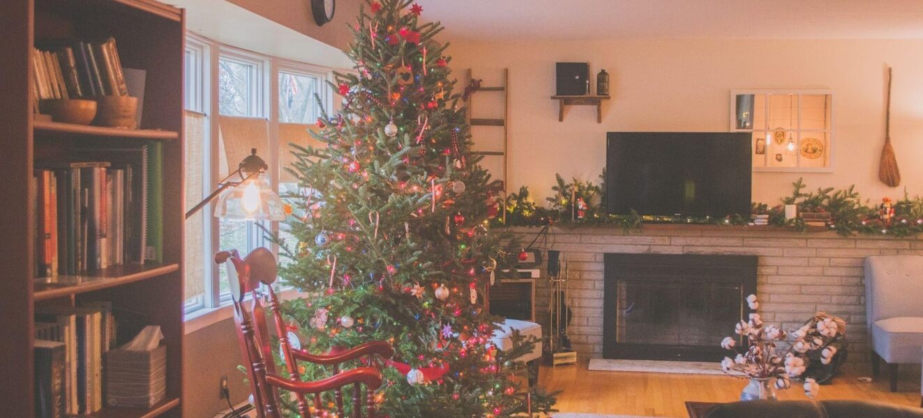 The Magic of a Christmas Tree with Lights