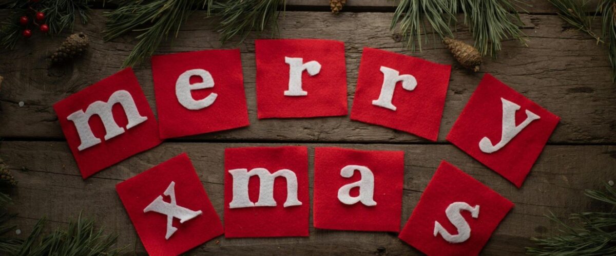 Christmas Clearance: Find Your White Christmas Garland