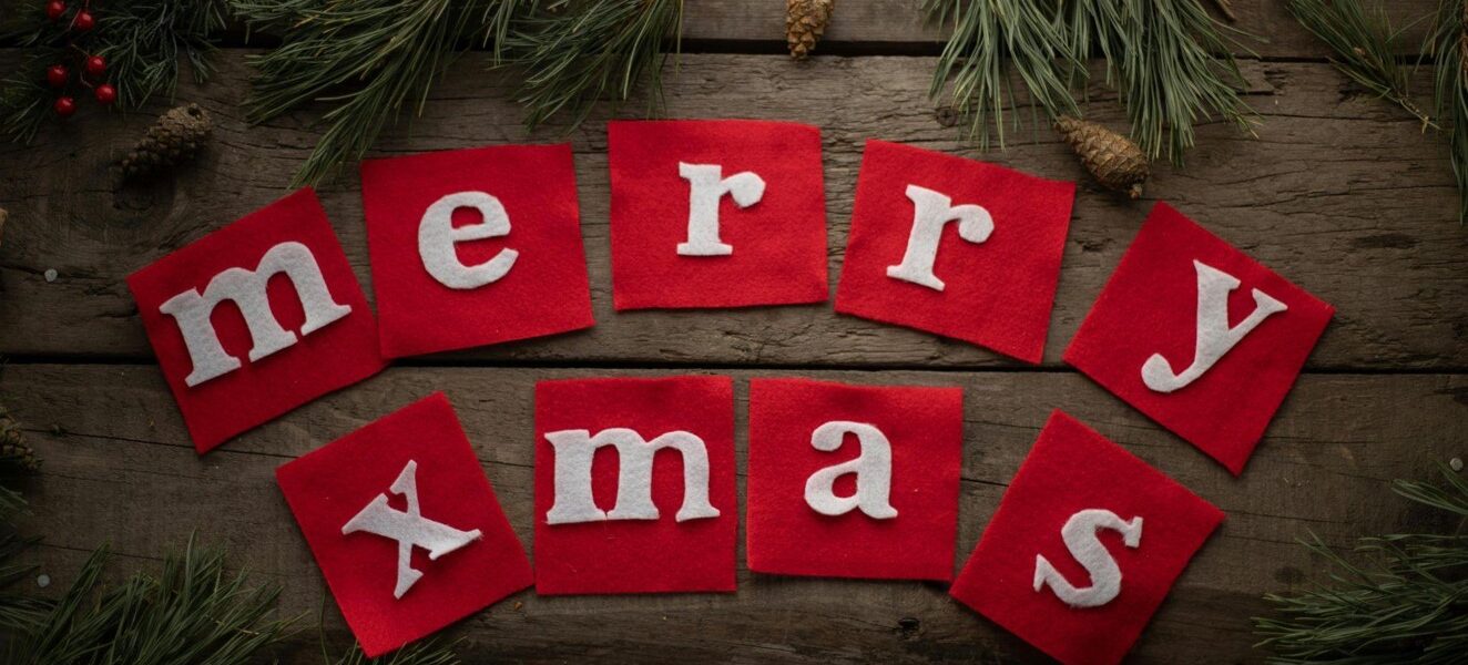 Christmas Clearance: Find Your White Christmas Garland